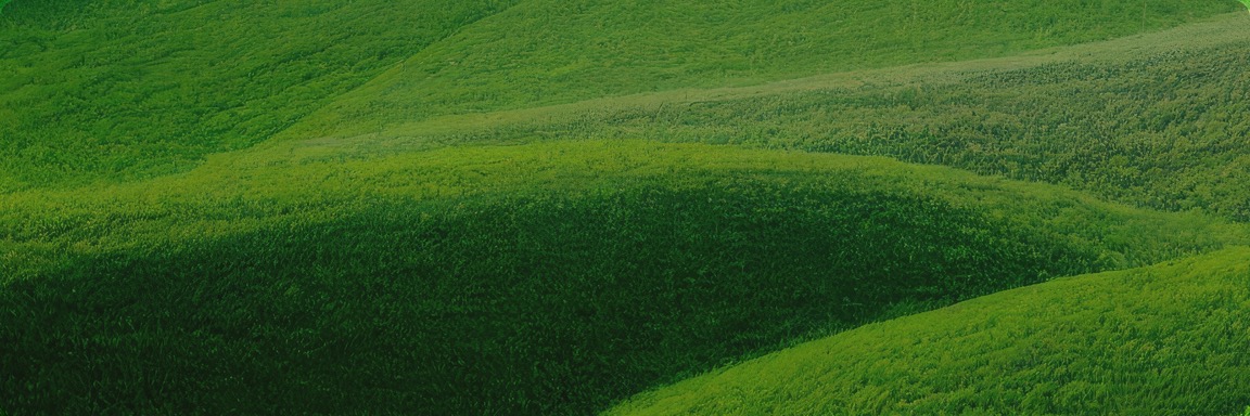 九洲国际官网-不凡成就非凡,相信品牌力量